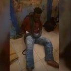  Un policía parece querer colocar la serpiente en la boca del sospechoso mientras que sus colegas se ríen, según las imágenes de un video. 