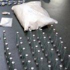  Referencial. Los precursores químicos servirían para la elaboración de drogas. 