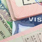  Chequea todo lo que debes saber sobre estos documentos. 