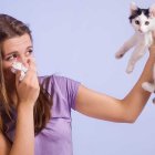  Una opción saldrá al mercado para las personas alérgicas a los gatos. 