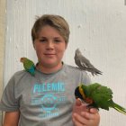  En su cuenta de YouTube, Renato Barrera da consejos sobre cómo cuidar a aves. 