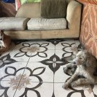  Precioso y hermoso, los héroes del barrio. 