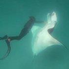  Las imágenes se hicieron virales en redes sociales.  