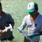  En el área identificada por una expedición del Parque Nacional Galápagos se encontraron 20 ejemplares. 