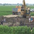  Varias instituciones lograron sacar al elefante marino de un canal de riego en Babahoyo. 