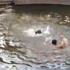  El perro da un salto para rescatar a su dueño. 