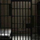  La intensificación de las organizaciones criminales de otros países dentro del nuestro es una de las razones.  