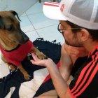  El perro Doze fue diagnosticado con tumor inoperable. 