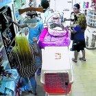  El robo quedó registrado en video. Una de las personas que ingresó distrajo al veterinario que atendía el local. 