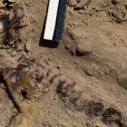  La osamenta tendría alrededor de mil años. 