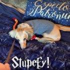  Remus entiende las frases típicas de la saga como “Avada Kedavra”.  