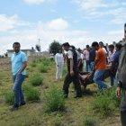  Su padrastro lo fue a llamar para que acuda a votar y estaba ahorcado. 