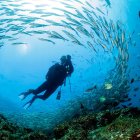  El objetivo de la lista fue mostrar la diversidad de entornos marinos, los cuales cubren más del 70 por ciento de la superficie del planeta. 