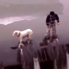  El can se quedó paralizado del miedo. Mientras un hombre intentaba rescatarlo, el animal resbaló y por poco cae al vacío. 