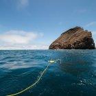  Investigadores sumergen un robot acuático con cámara para analizar el fondo marino de Galápagos. 