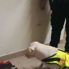  El alcaloide se encontraba camuflado en dos paquetes de forma rectangular. 