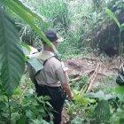  Lugar donde fue encontrada la adolescente.  