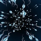  Las dietas ricas en carne procesada, queso, café, alcohol, bebidas azucaradas y dulces se han asociado negativamente con la calidad del semen. 