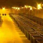  Los policías detuvieron a un hombre de unos 30 años, sospechoso de haber instalado el cultivo. 