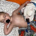 Las siestas no existen si uno no está cerca del otro.