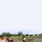  Los vecinos reclaman sobre la situación del terreno, con monte, basura y delincuencia.  