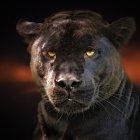  Imagen referencial. Un video muestra a la mujer retorciéndose de dolor en el suelo. 