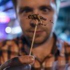  Un estudio señala que la masa estimada de todos los insectos está cayendo a un 2,5% cada año. 