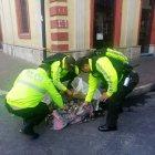  Ocho grupos de la Policía limpiaban y retiraban desechos de las calles. 