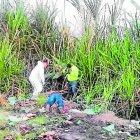  El cuerpo del hombre quedó entre los matorrales cerca de una bananera de la vía La Primavera, de Machala. 