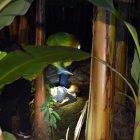  Uno de ellos murió, mientras que otros dos resultaron heridos y bajo custodia policial.  