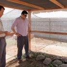  Los animales aún no han podido retornar a su hábitat. 18 pertenecen a la Isla Isabel y ocho a San Cristóbal. 