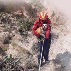  367 rescates de animales se produjeron el año pasado en Quito.  