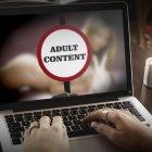  De acuerdo a un estudio relacionados con difusión de datos sexuales y sitios web de pornografía, un 93% de páginas porno filtra datos de los usuarios a terceros. 