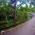  En varios tramos del trayecto se han robado las barandas de seguridad. 
