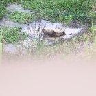  El joven, de 19 años, permanecía dentro de un saco de yute abandonado en una zona pantanosa de El Empalme.  