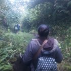  Algunas personas decidieron caminar por entre la montaña para salir más adelante y poder hacer trasbordo. 
