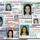  La agencia de control migratorio solicitó el acceso a las bases de datos de las licencias de conducir a las autoridades de Utah, Vermont y Washington, tres estados que expiden este tipo de identificaciones a inmigrantes en situación irregular.  