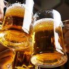  La cerveza es la bebida alcohólica más consumida a nivel mundial. 