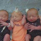  Los bebés nacieron saludables. 