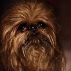  La nueva película de la saga de la Guerra de las Galaxias se estrena el 20 de diciembre del 2019.  