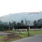  Aún quedan las huellas de los neumáticos y la hierba arrancada de raíz. 