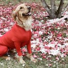  El material es respirable y está disponible para todos los tamaños. 