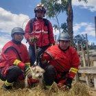 Se necesitó sogas y poleas para llegar al animal. 
