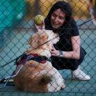  Una tenista ciega juega con su perro guía. 