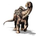  Se cree que antes de la formación de la Cordillera de los Andes, hubo un corredor que favoreció el intercambio de estos animales. 