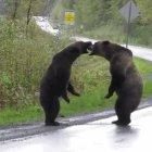  Una mujer se detuvo a grabar la pelea.  