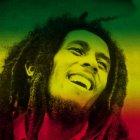  Este género, que fue declarado Patrimonio Cultural Inmaterial de la Humanidad por la Unesco, nació en la década del 60 y se internacionalizó con el cantante Bob Marley. 