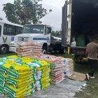  Camión robado fue recuperado con sacos de semillas de maíz. 