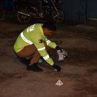  La víctima es una joven de 26 años de edad que fue sorprendida por dos sujetos a bordo de una moto. 