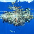  Una acumulación de residuos plásticos en el Pacífico.  